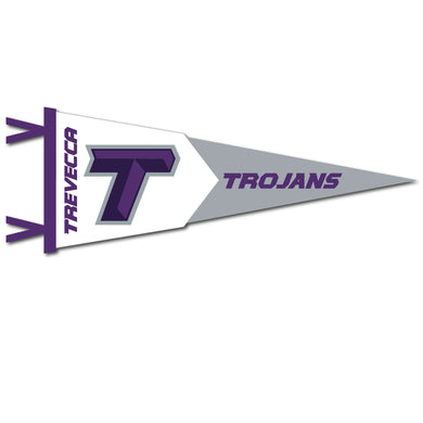 12 X 32 Two-Piece Flock Plus Pennant | Purple