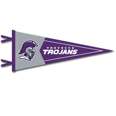 7 X 18 Two-Piece Flock Plus Pennant | Purple