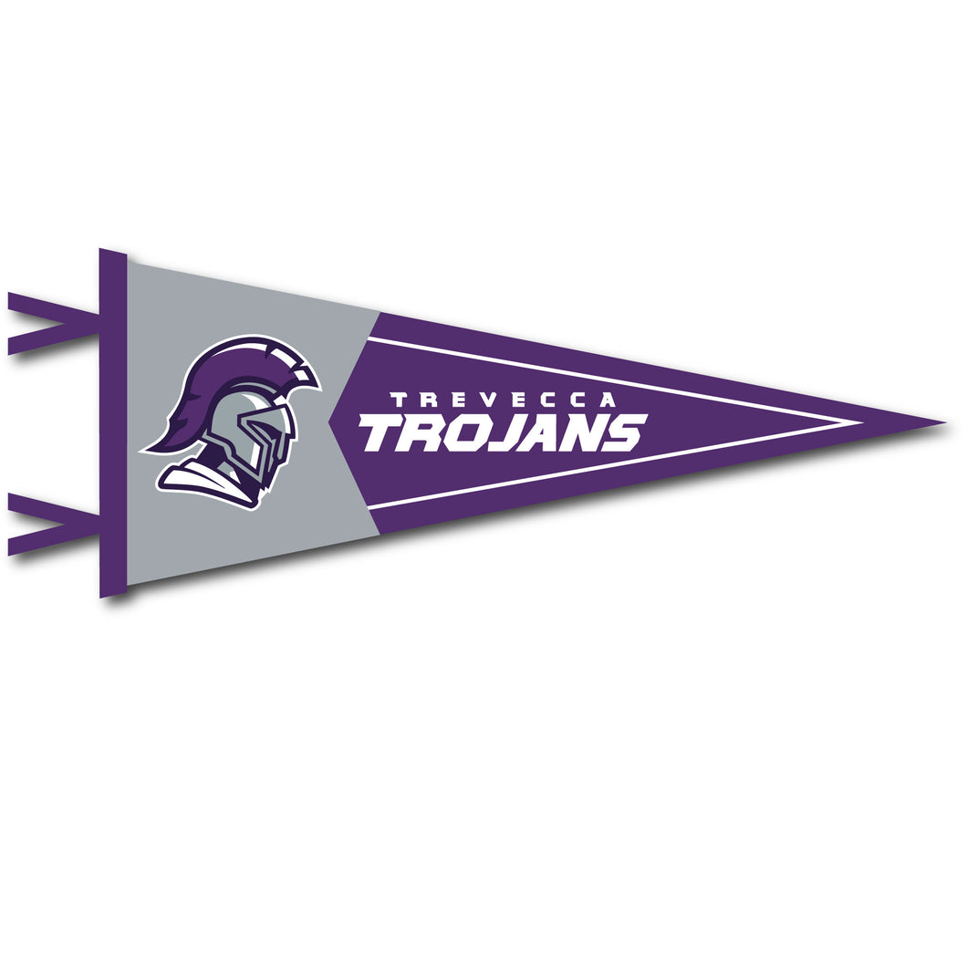 7 X 18 Two-Piece Flock Plus Pennant | Purple