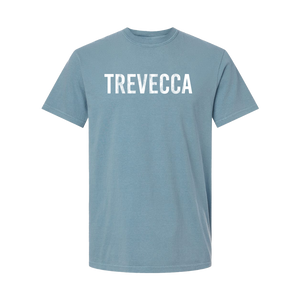 Comfort Colors distressed Trevecca tee, Ice Blue