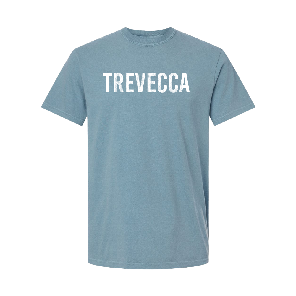 Comfort Colors distressed Trevecca tee, Ice Blue