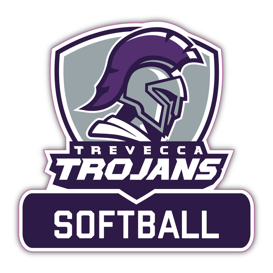 TNU Softball Decal - M11