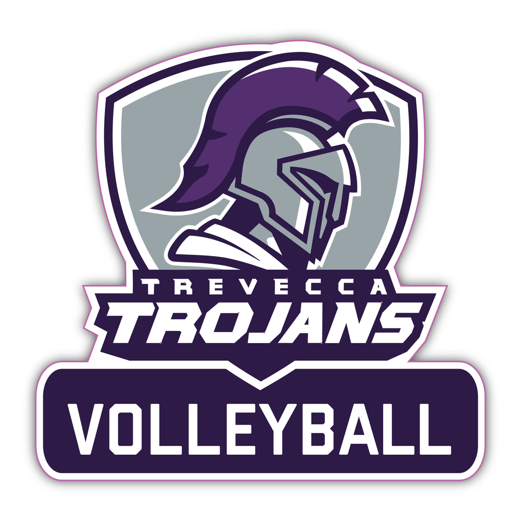 TNU Volleyball Decal - M12