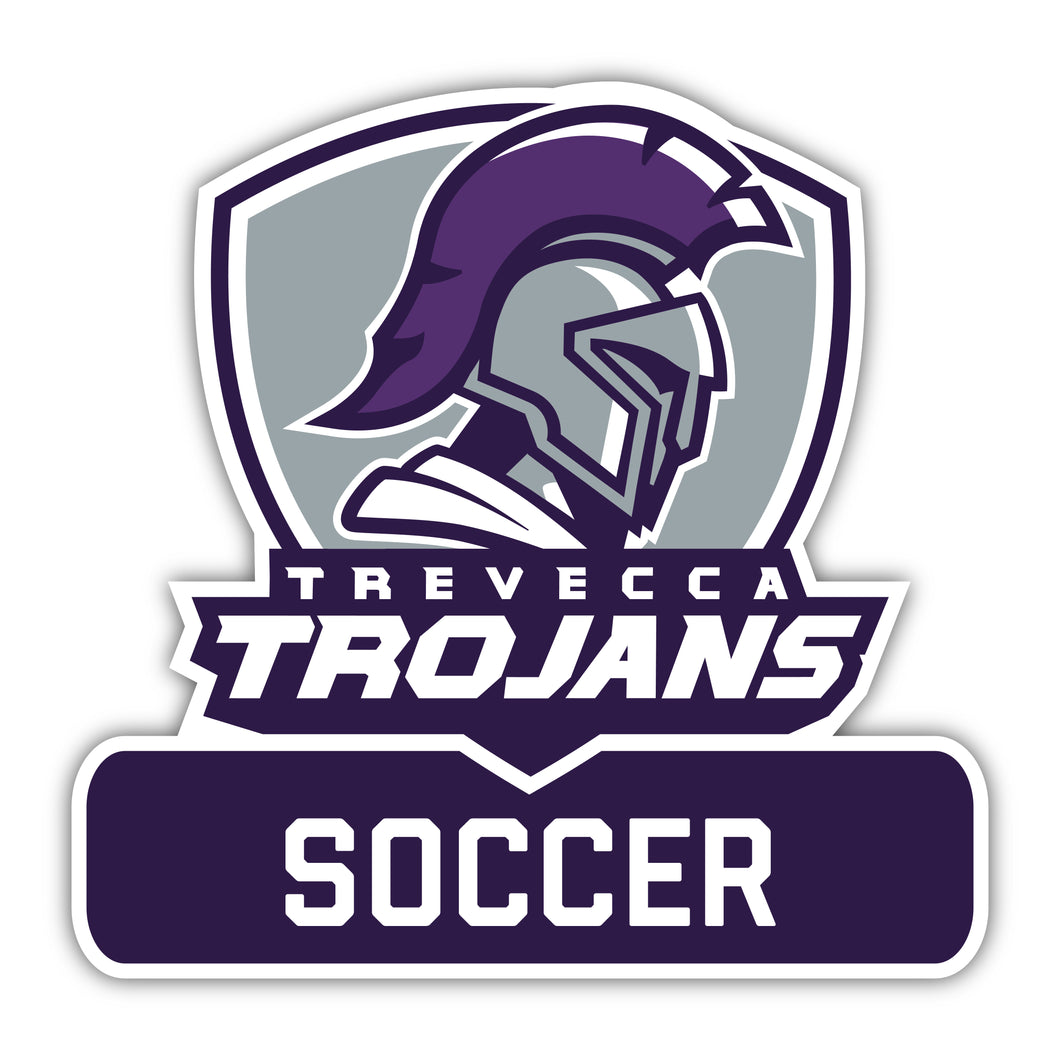 TNU Soccer Decal - M10