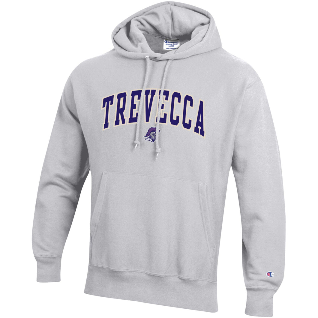 Reverse Weave Hood | Silver Grey