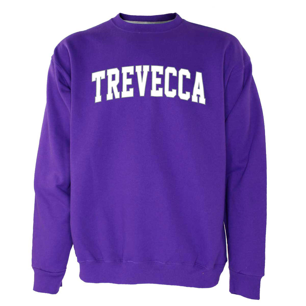 Core Crew Neck Sweatshirt, Purple